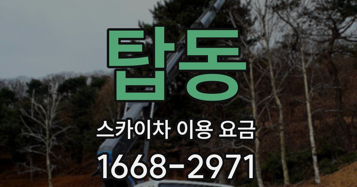 탑동 스카이차 이용 요금
