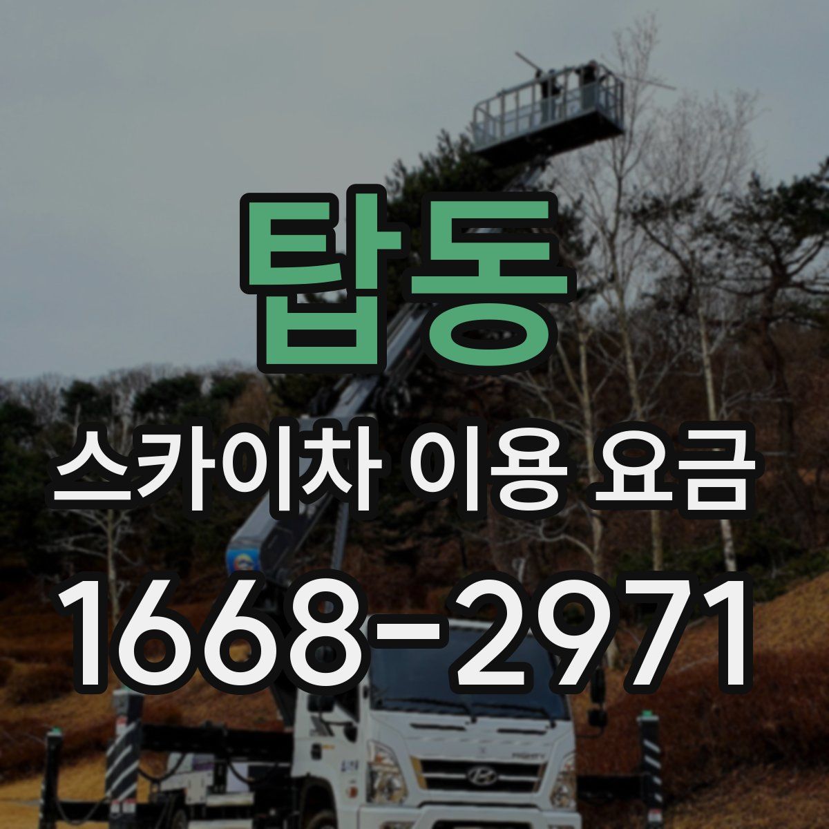 탑동 스카이차 이용 요금