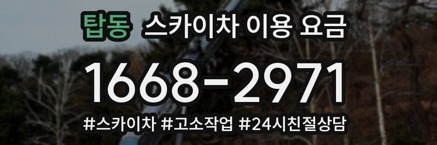 탑동 스카이차 이용 요금