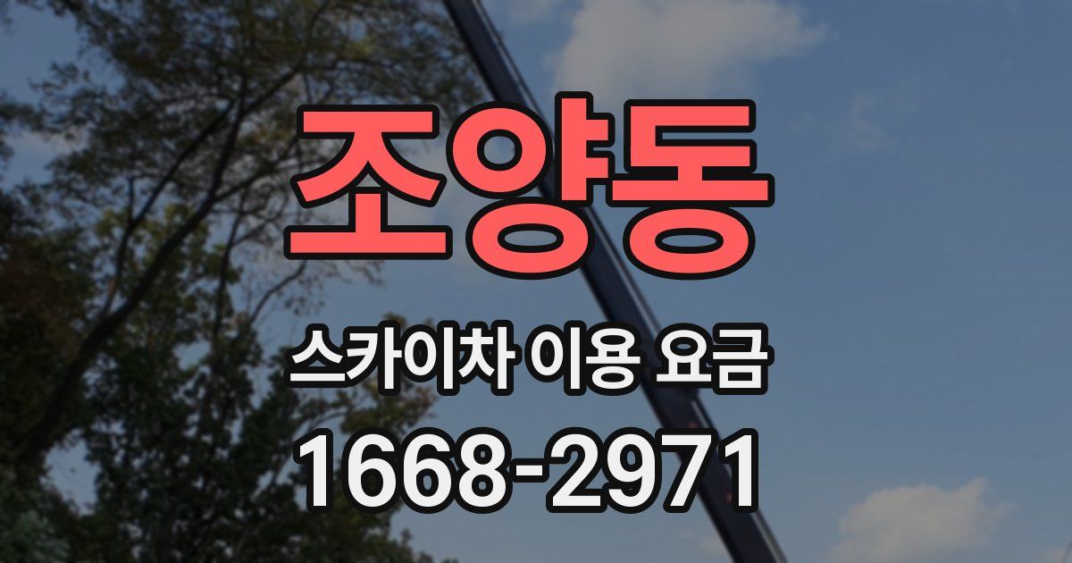 조양동 스카이차 이용 요금