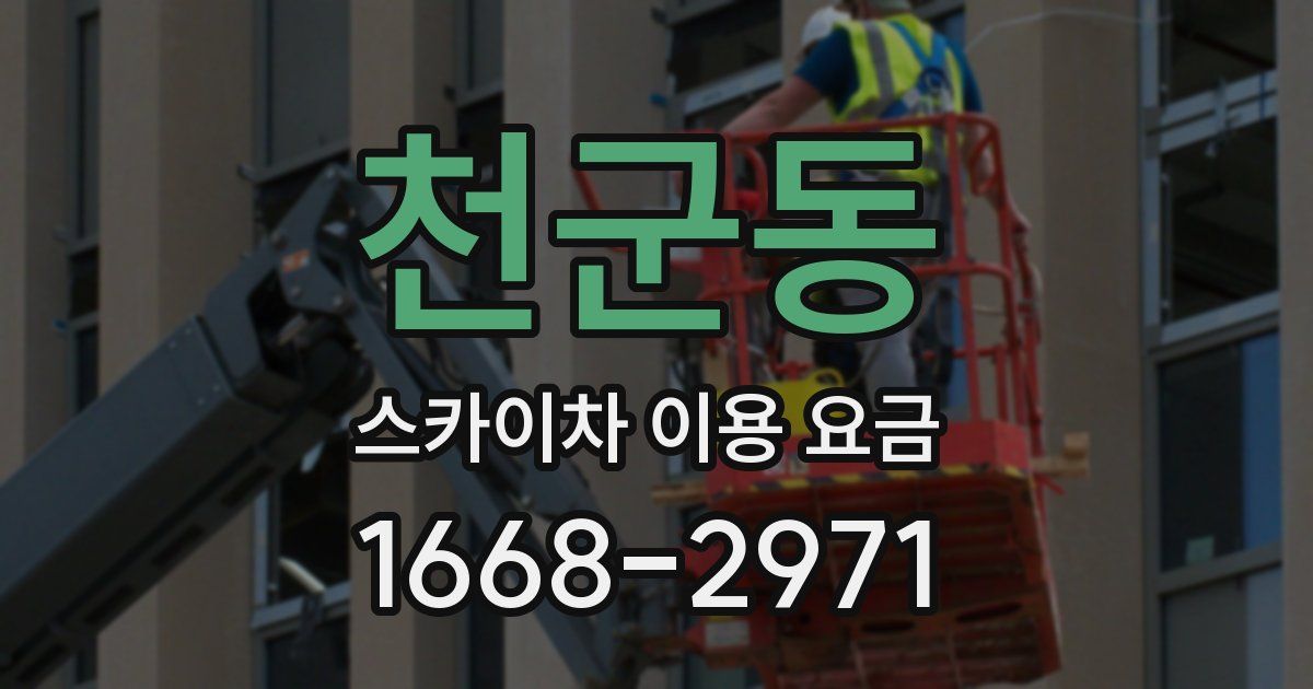 천군동 스카이차 이용 요금