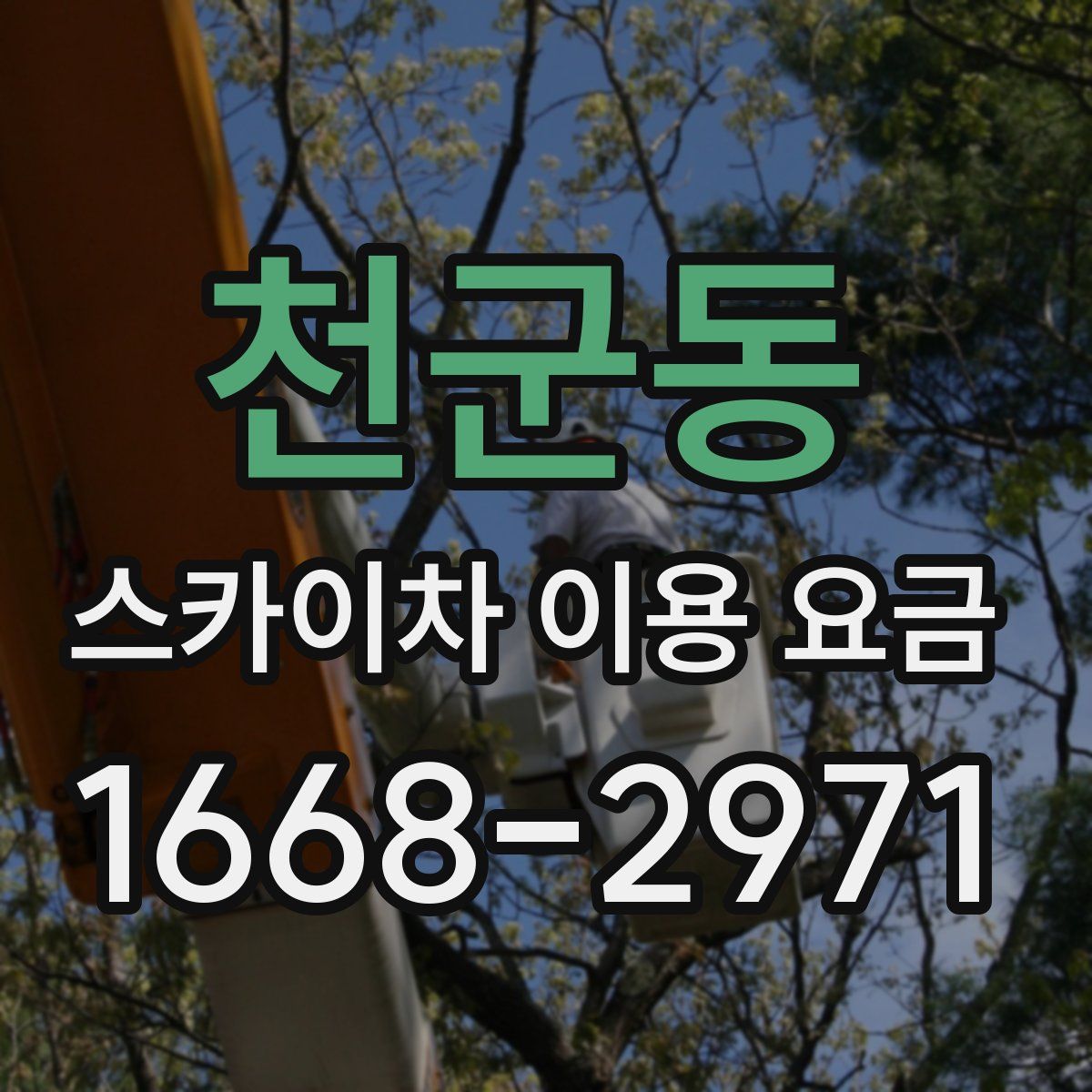 천군동 스카이차 이용 요금