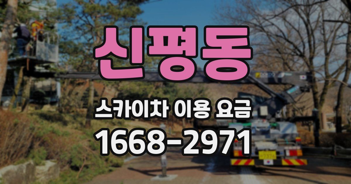 신평동 스카이차 이용 요금