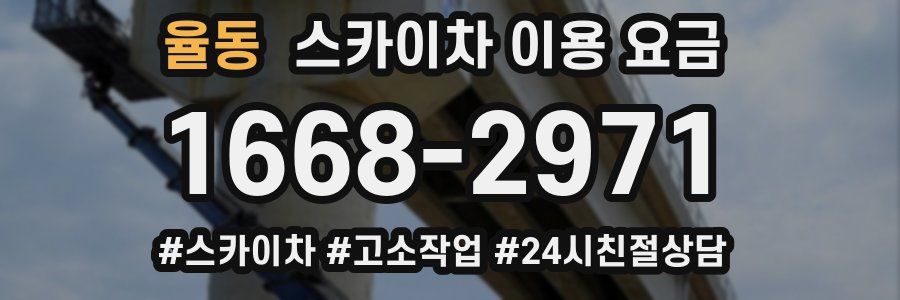 율동 스카이차 이용 요금