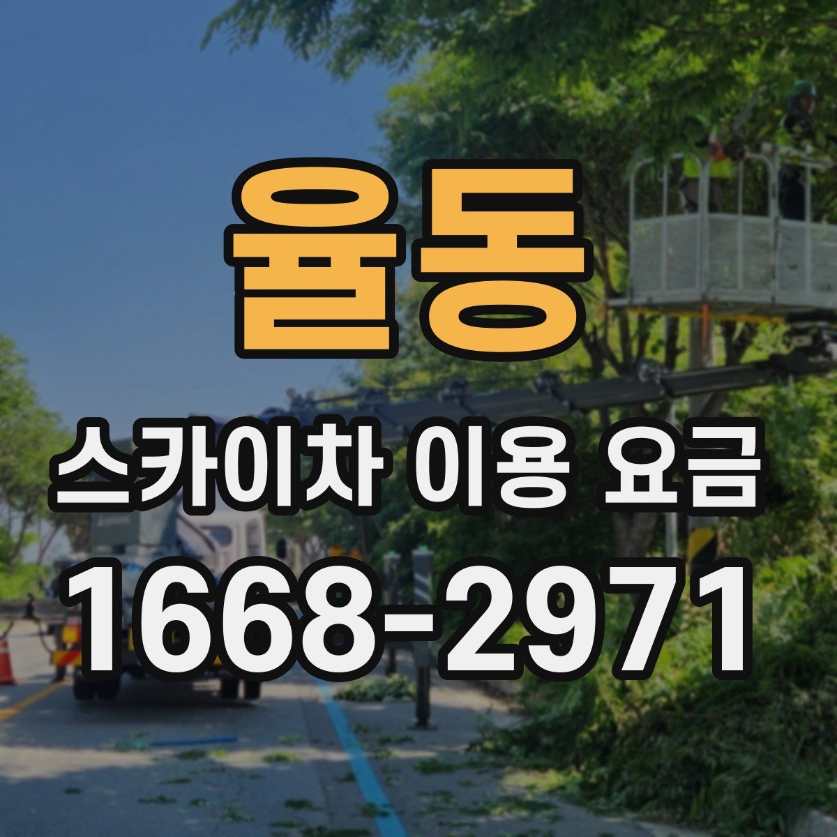 율동 스카이차 이용 요금
