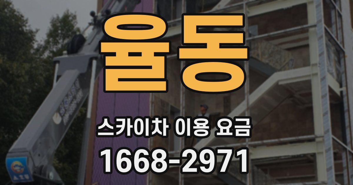 율동 스카이차 이용 요금