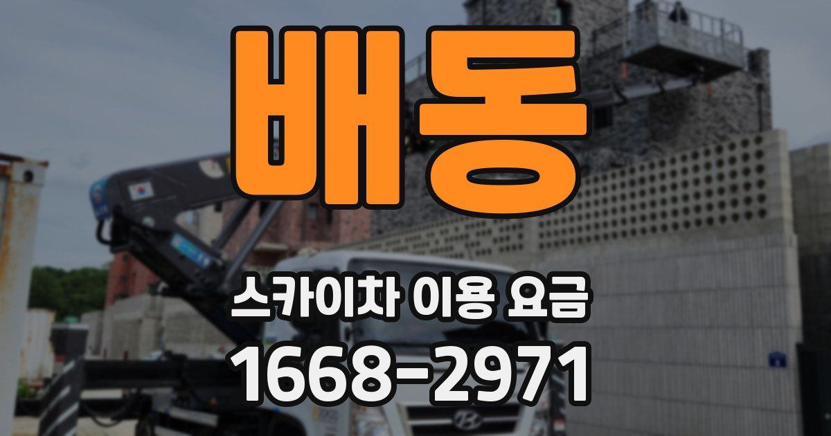 배동 스카이차 이용 요금