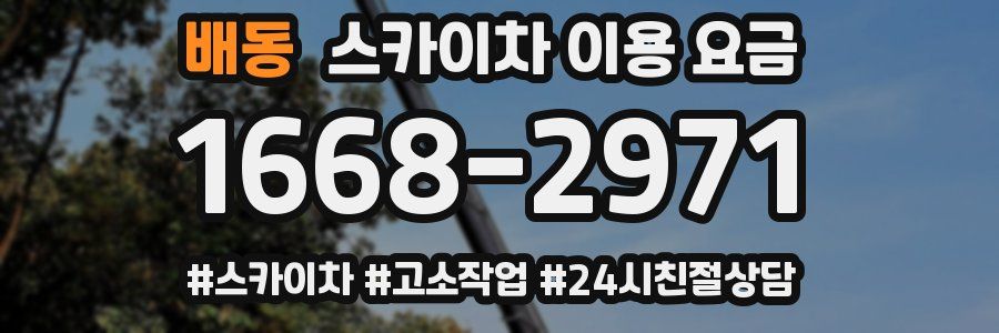배동 스카이차 이용 요금