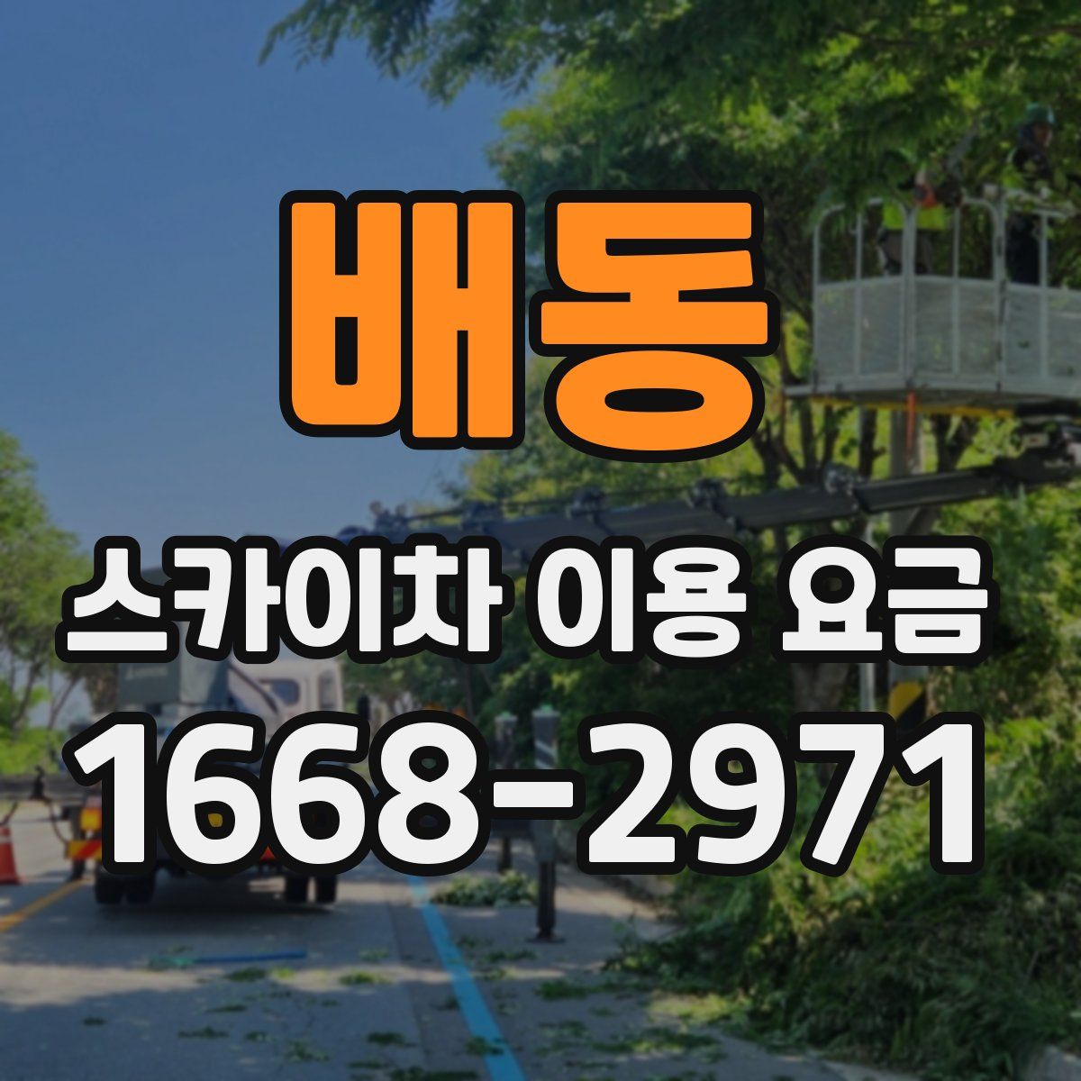 배동 스카이차 이용 요금