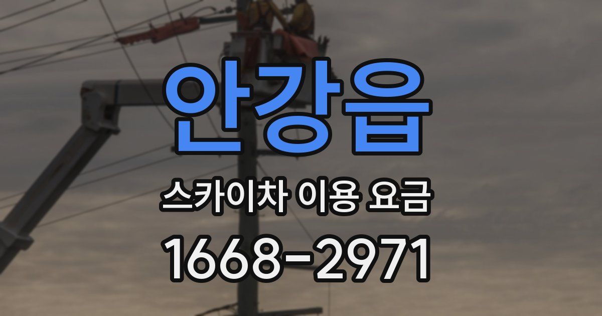 안강읍 스카이차 이용 요금