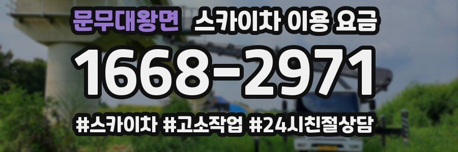 문무대왕면 스카이차 이용 요금
