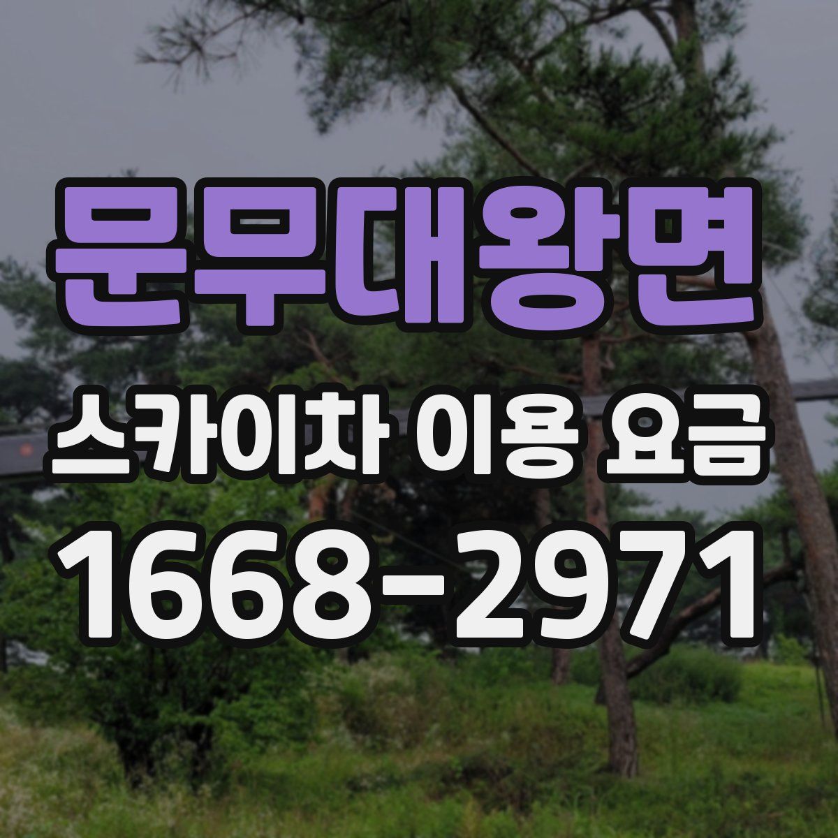 문무대왕면 스카이차 이용 요금