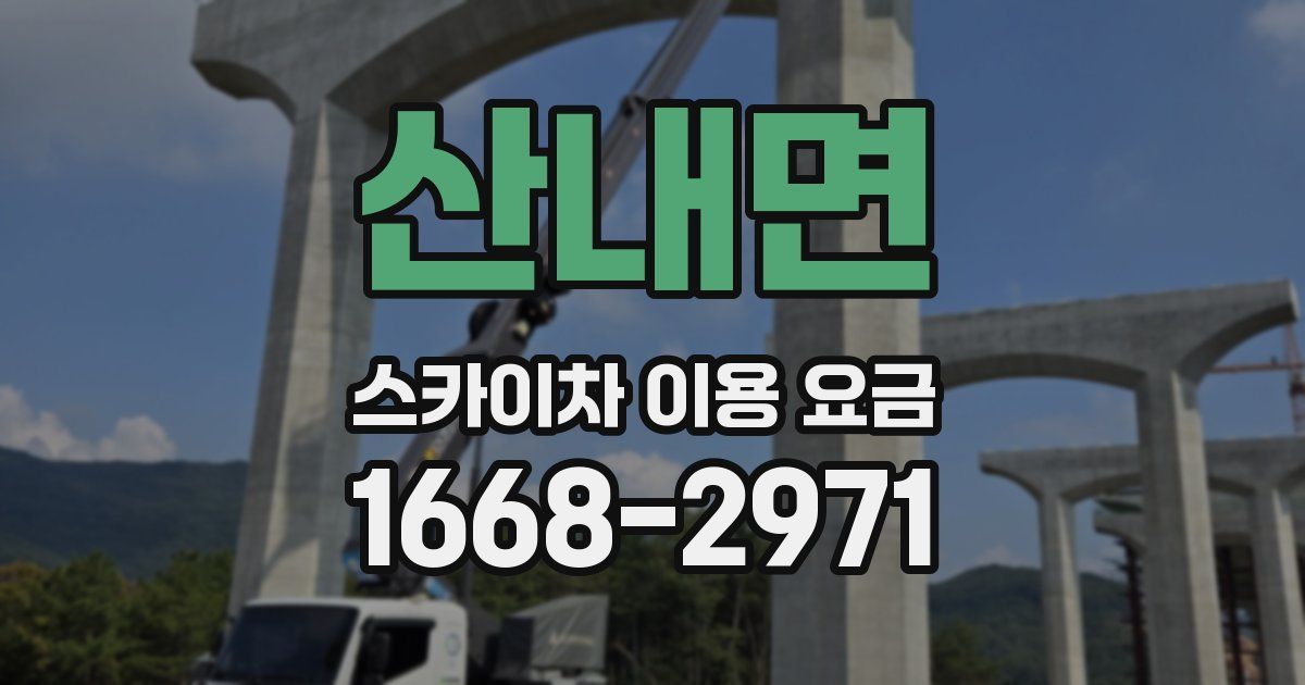 산내면 스카이차 이용 요금