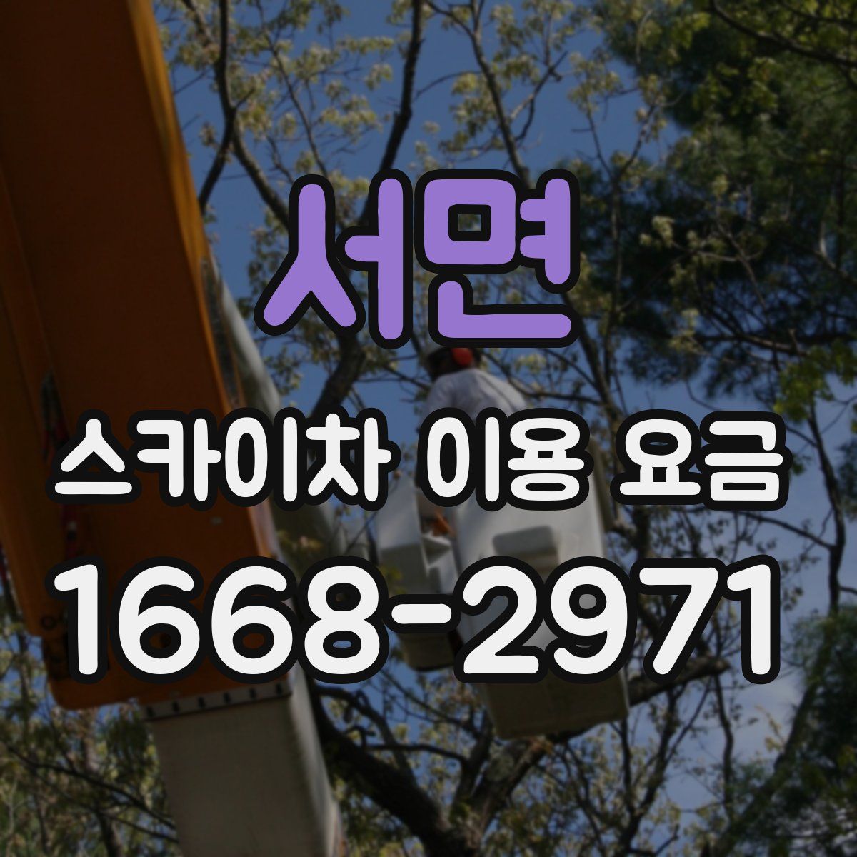 서면 스카이차 이용 요금