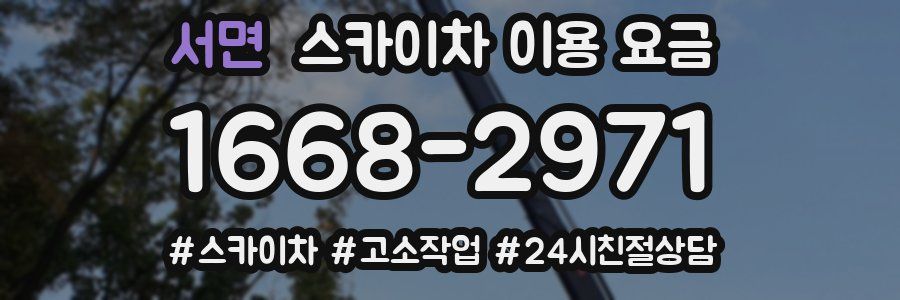 서면 스카이차 이용 요금