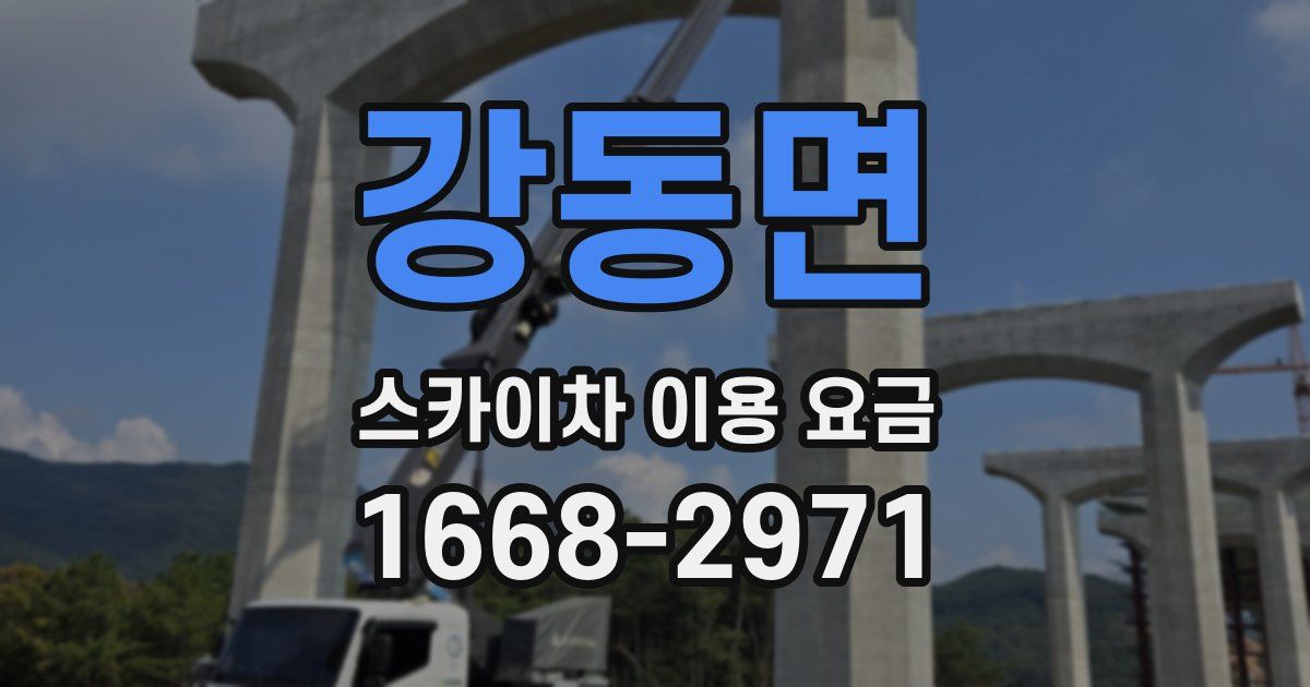 강동면 스카이차 이용 요금