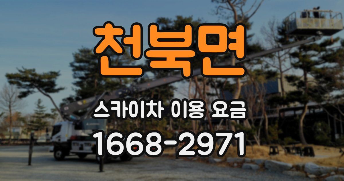 천북면 스카이차 이용 요금