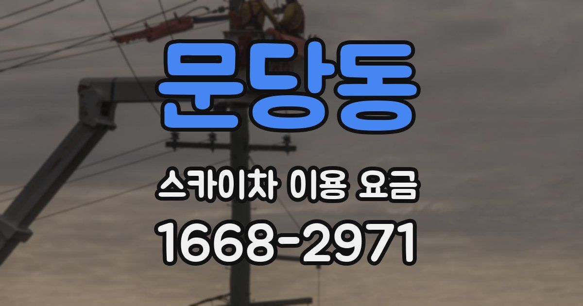 문당동 스카이차 이용 요금