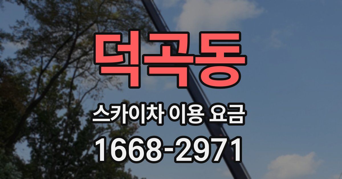 덕곡동 스카이차 이용 요금