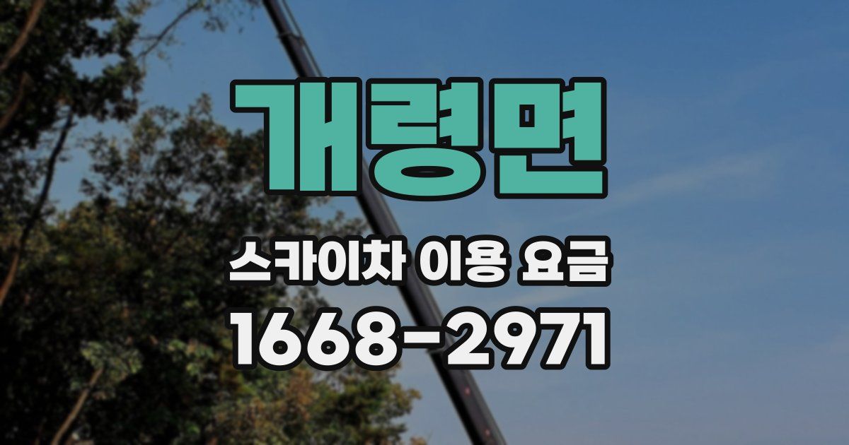 개령면 스카이차 이용 요금