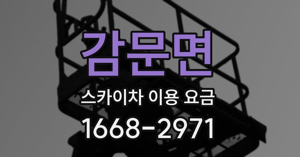 감문면 스카이차 이용 요금