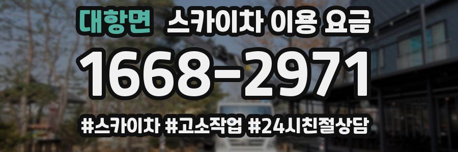 대항면 스카이차 이용 요금