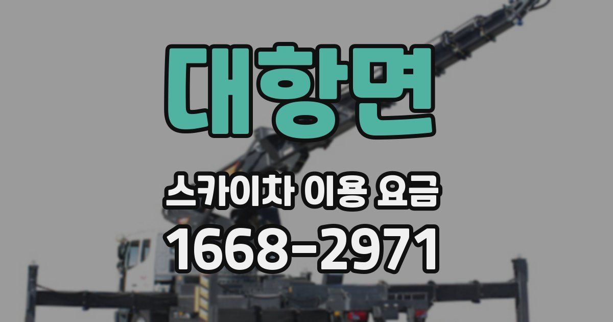 대항면 스카이차 이용 요금
