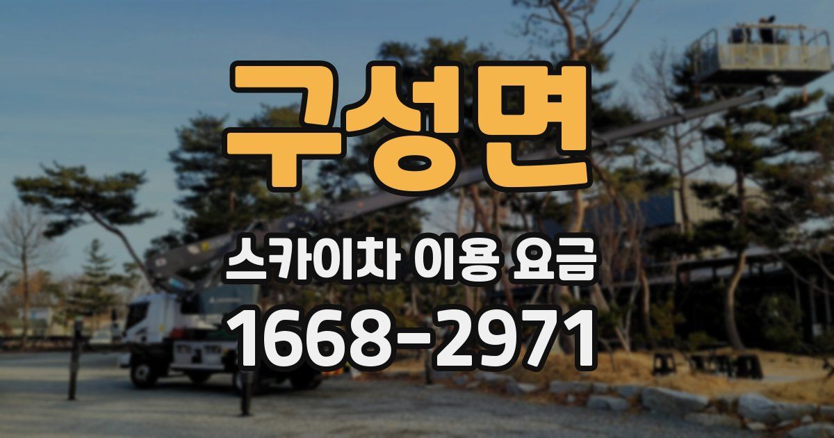 구성면 스카이차 이용 요금