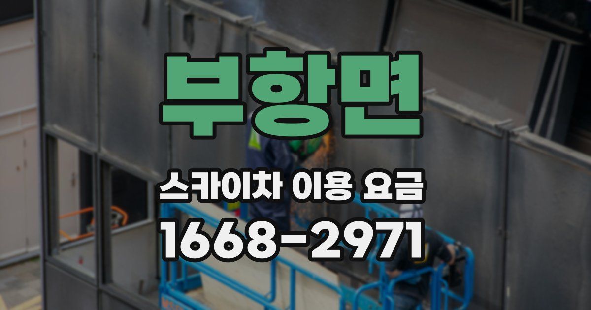 부항면 스카이차 이용 요금