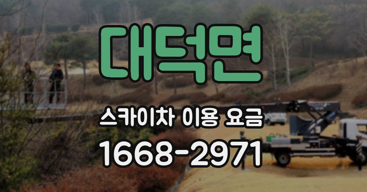 대덕면 스카이차 이용 요금