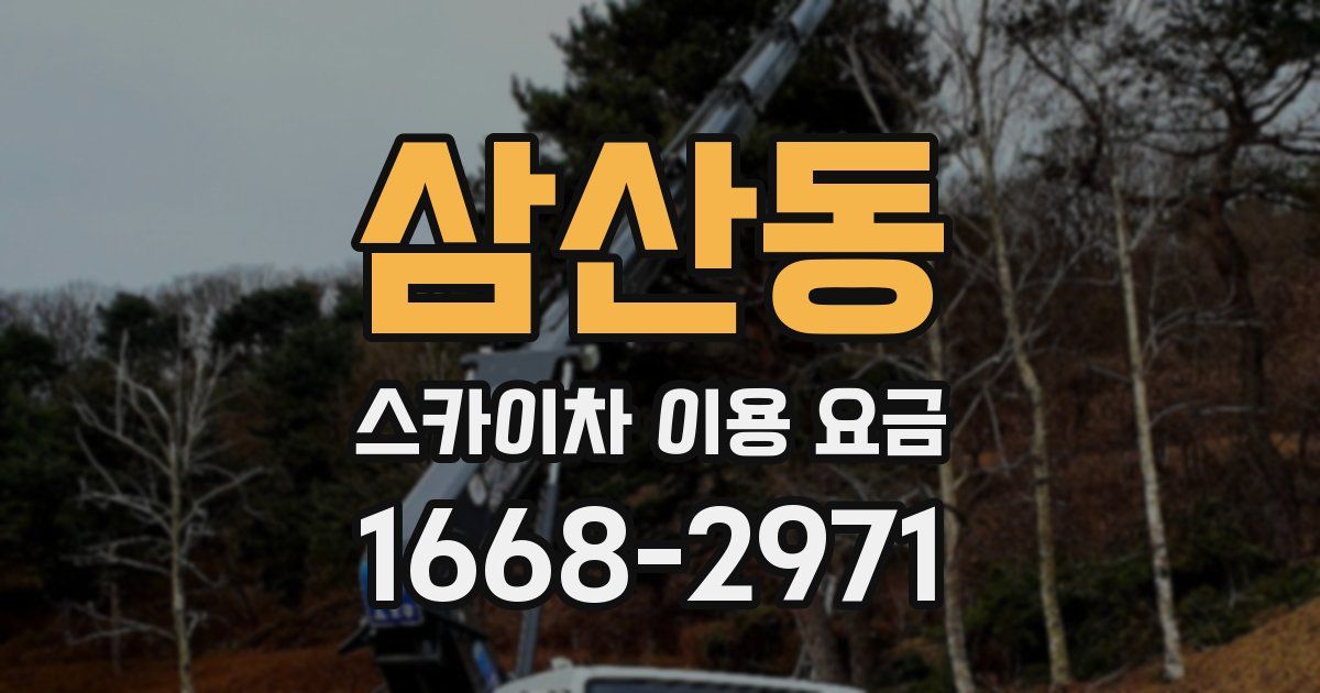 삼산동 스카이차 이용 요금
