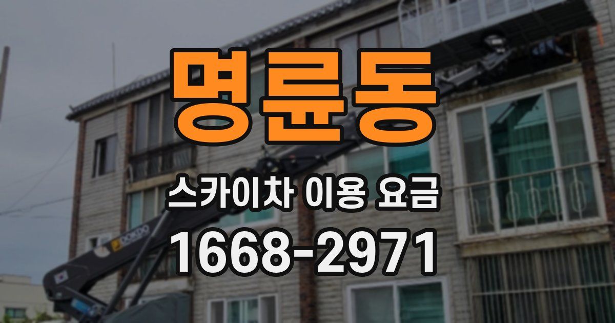 명륜동 스카이차 이용 요금