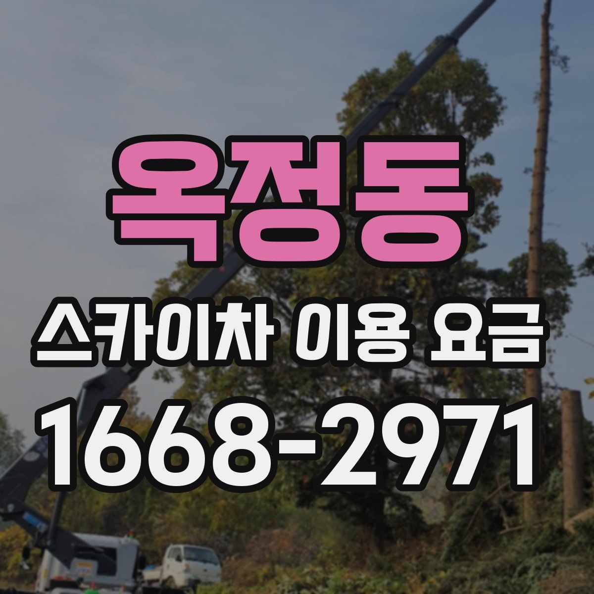 옥정동 스카이차 이용 요금