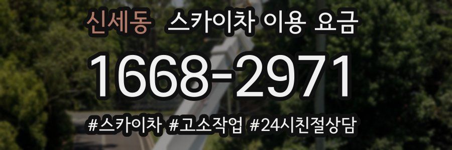신세동 스카이차 이용 요금