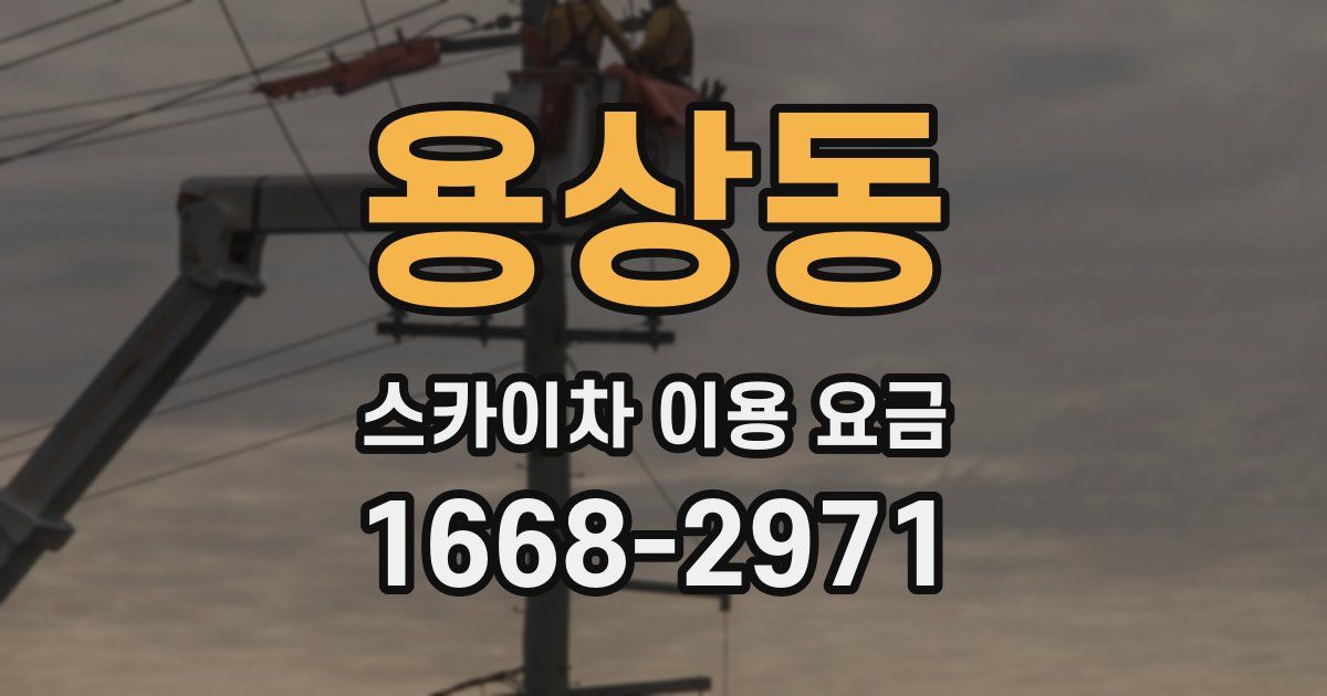 용상동 스카이차 이용 요금