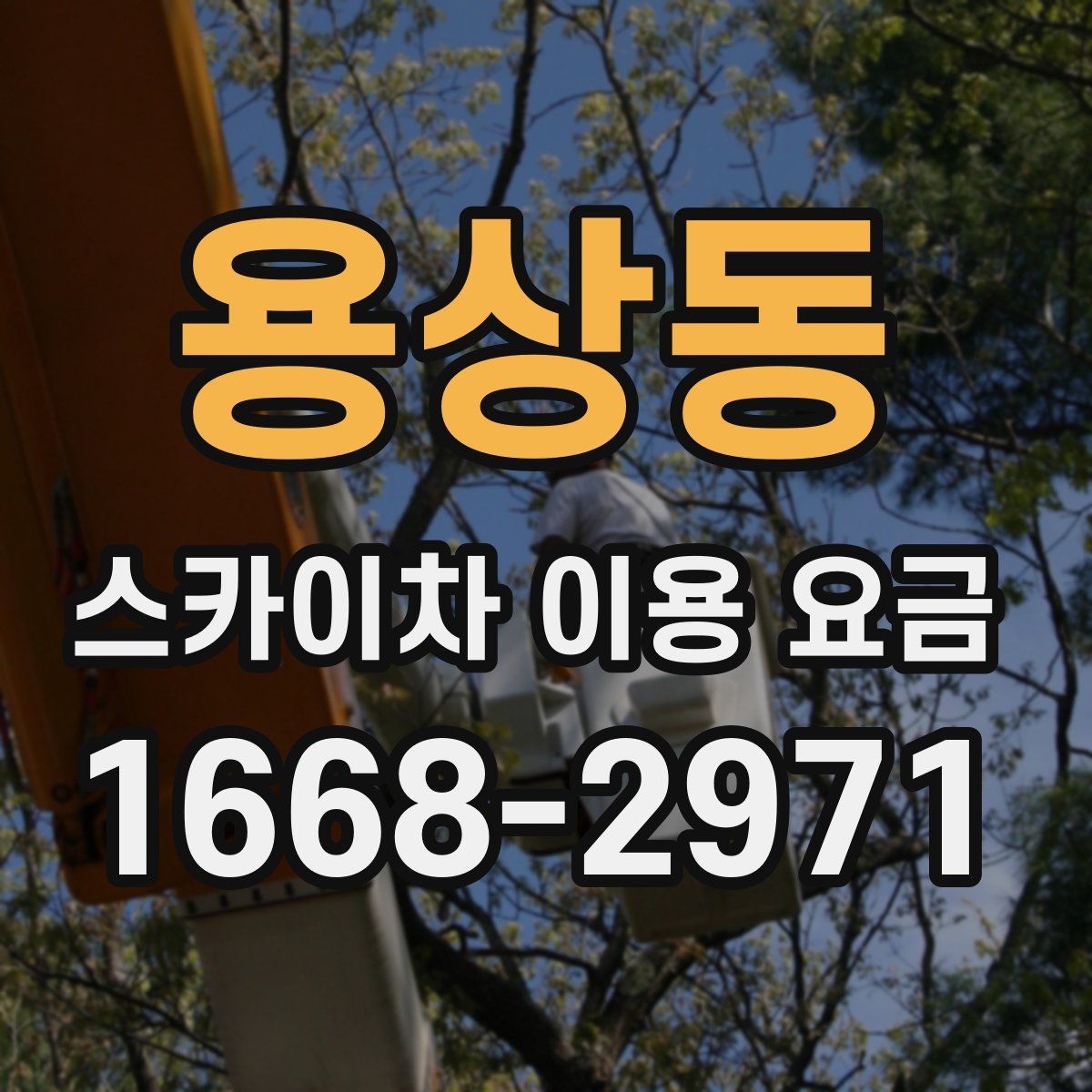 용상동 스카이차 이용 요금