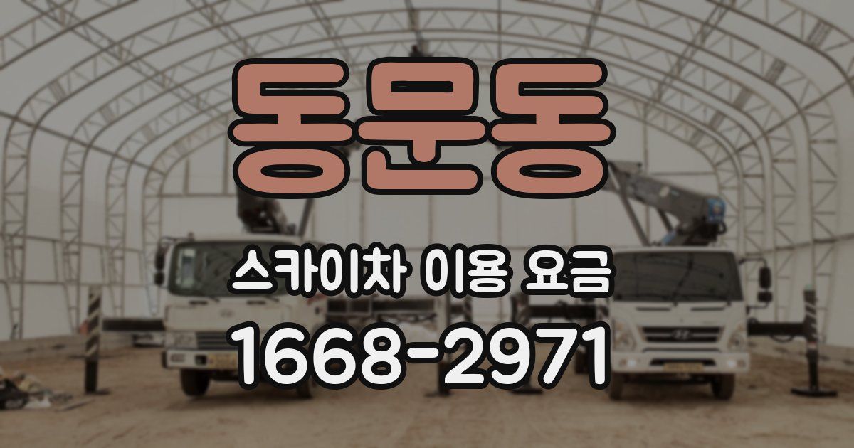 동문동 스카이차 이용 요금