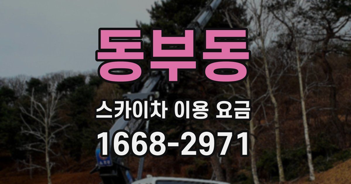 동부동 스카이차 이용 요금