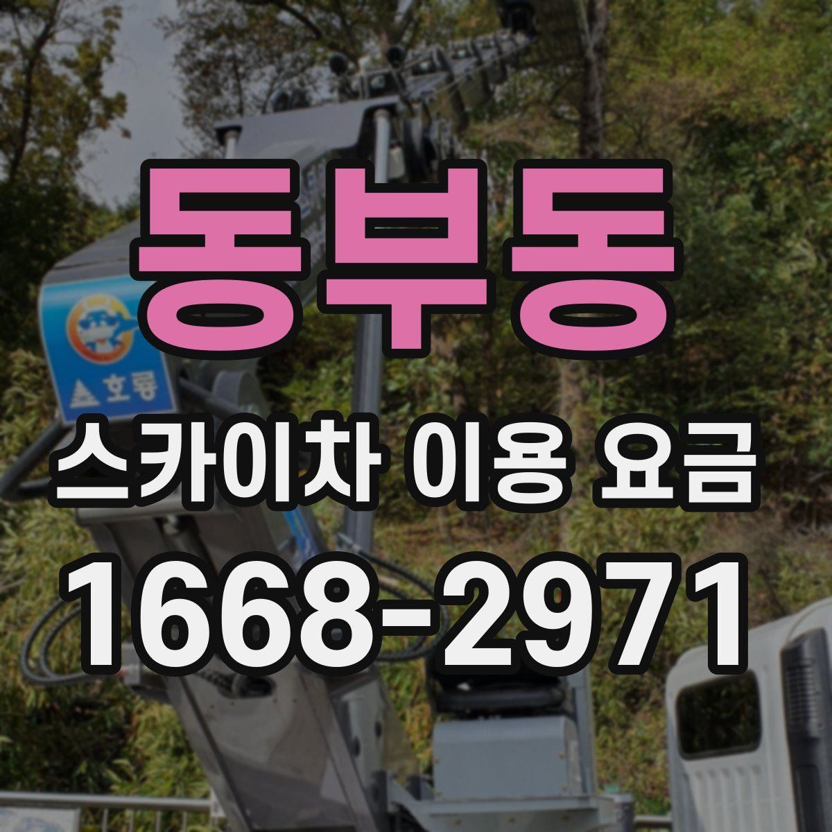 동부동 스카이차 이용 요금