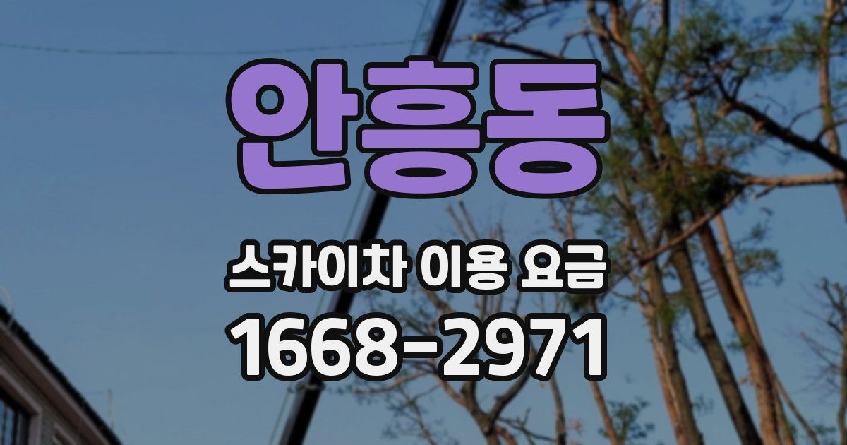 안흥동 스카이차 이용 요금