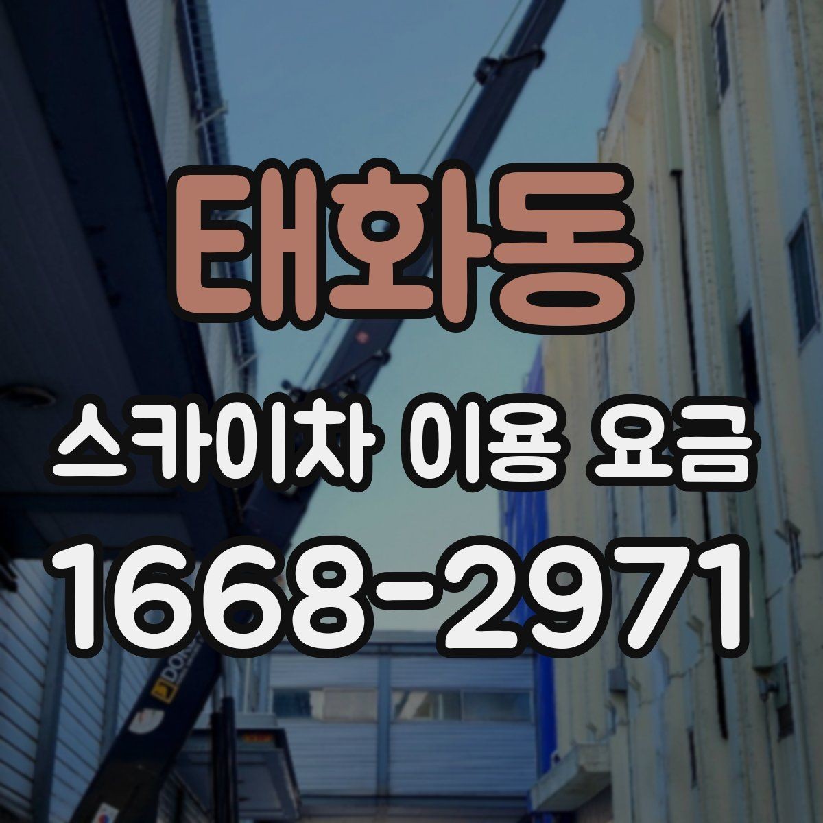 태화동 스카이차 이용 요금 선택 전에 확인할 안전 기준