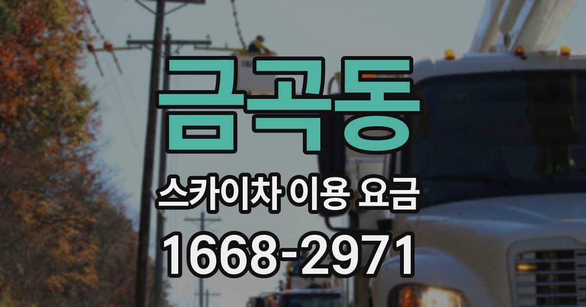 금곡동 스카이차 이용 요금