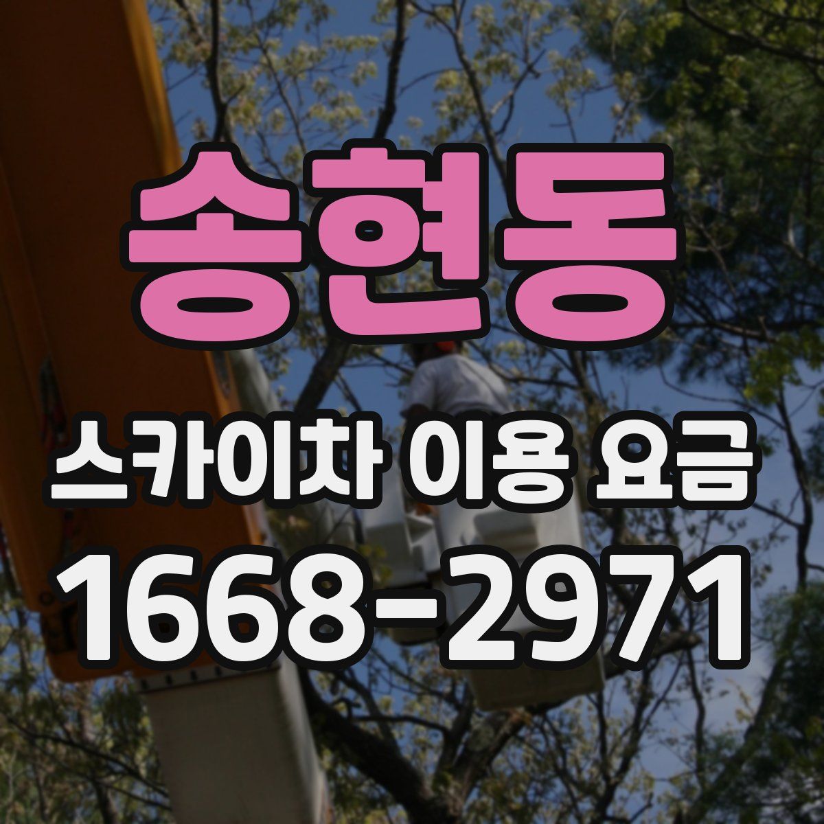 송현동 스카이차 이용 요금