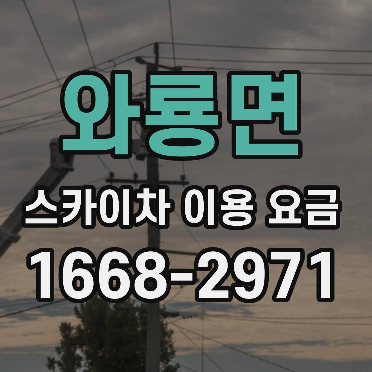 와룡면 스카이차 이용 요금