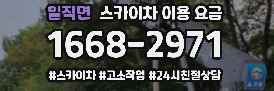 일직면 스카이차 이용 요금