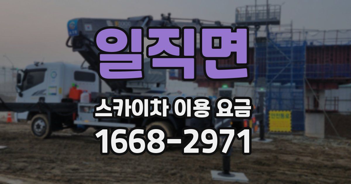 일직면 스카이차 이용 요금