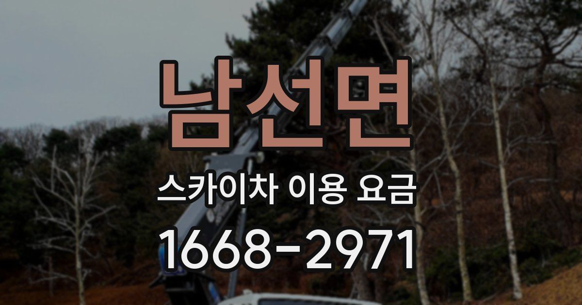 남선면 스카이차 이용 요금