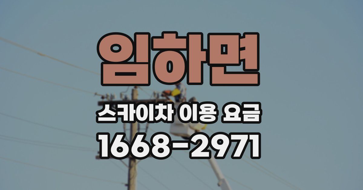임하면 스카이차 이용 요금