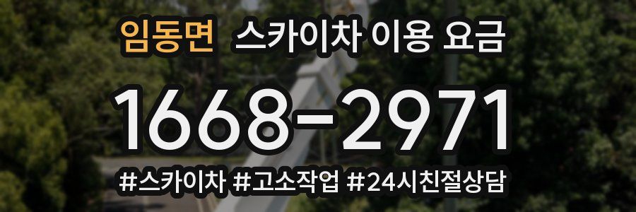 임동면 스카이차 이용 요금