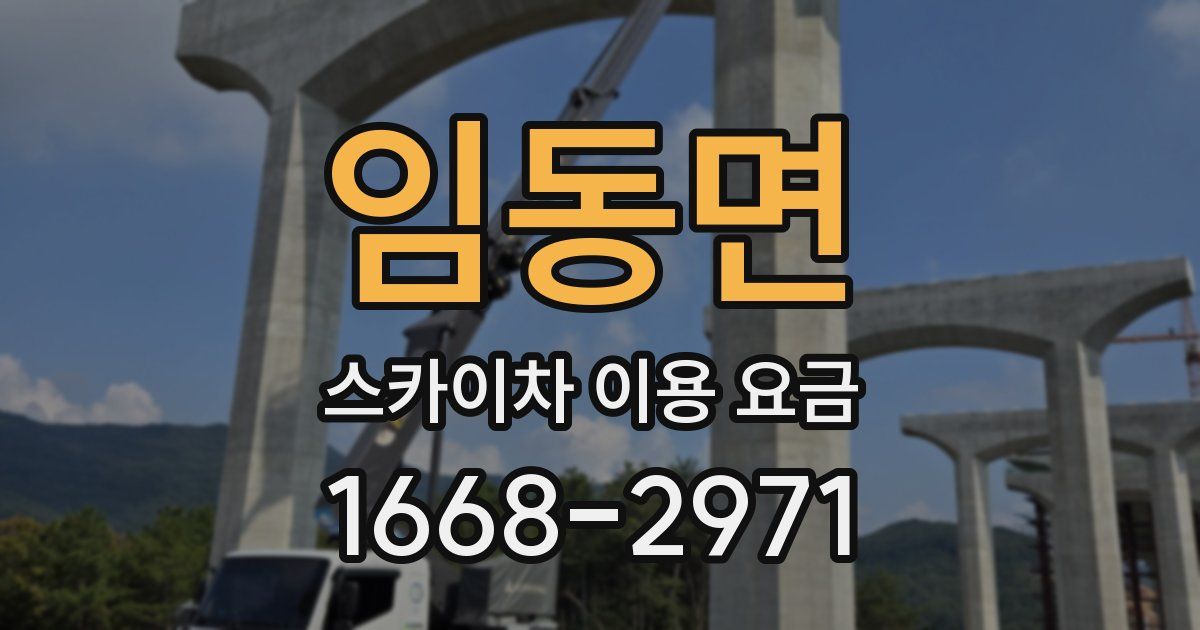 임동면 스카이차 이용 요금